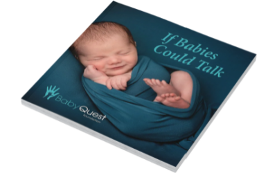 New Baby Quest Media Kit